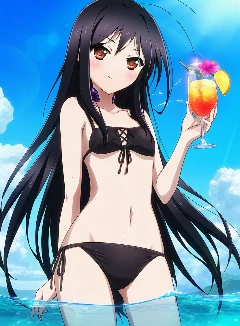 加速世界之暗交往的黑雪姬