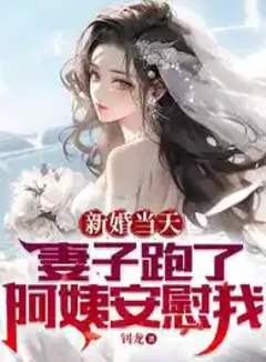 新婚當天妻子跑了，阿姨安慰我